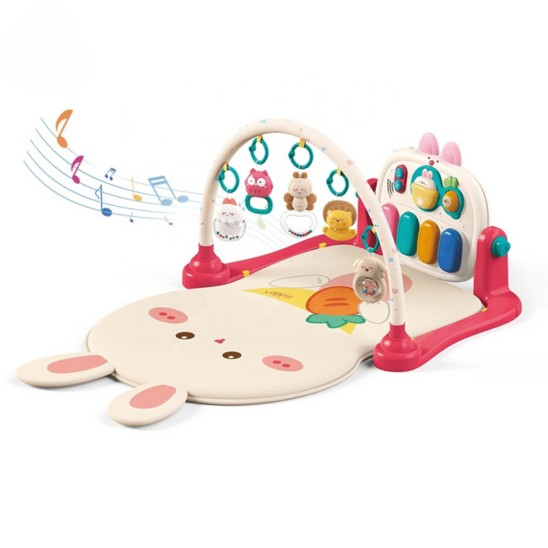 Gimnasio conejito grande